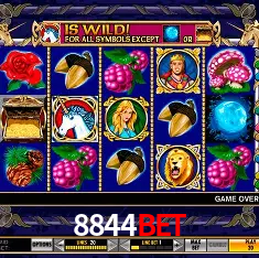 8844bet Salvador - Bonus Stats